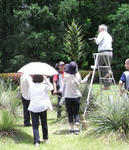 080601puya3.jpg