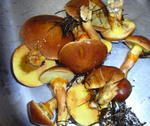 080921jikobou.jpg