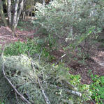 081016bassai.jpg