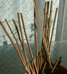 081213noren2.jpg