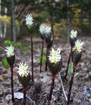 090430hitorisizuka.jpg