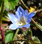 090502fuderindou.jpg