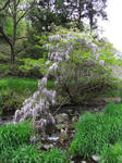 090504fuji2.jpg