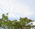 090825sky.jpg