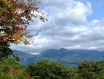 090913koyo.jpg