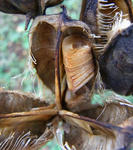 101021ubayuri2.jpg