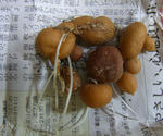 101024tubers.jpg