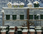 11021snow.jpg