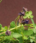 110328az1003.jpg