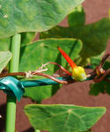 120113fintel.jpg