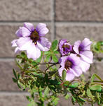120329lep135-1102.jpg