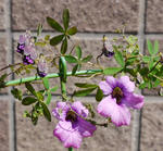 120329lep135-1106.jpg