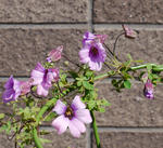 120329lep135-1108.jpg