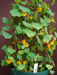 120407fintel.jpg
