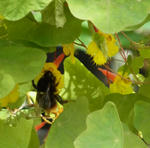 120428fintel1102_2.jpg