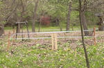 120509tampopo_hogo.jpg