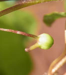 121112fintel.jpg