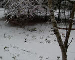 130421snow.jpg