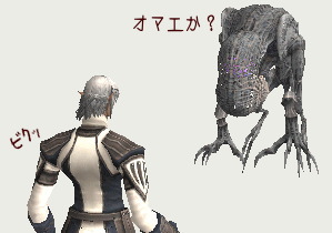 白さんにターゲットロック!