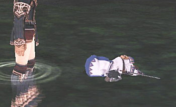 完全に水没中