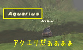 アクエリ発見！