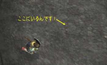 見事なかくれっぷりでしょ?