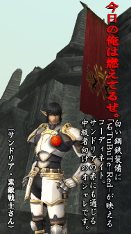 やりすぎだ・・・