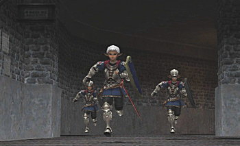 鷲獅子騎士団の登場