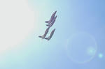 PICT0874.jpg