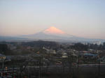 DSC00551-1.JPG