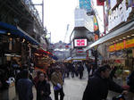DSC01139-1.JPG