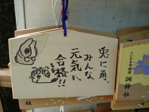 DSC0146600.jpg