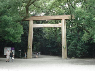 DSC01850.JPG