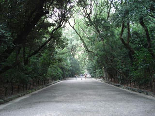 DSC01851.JPG