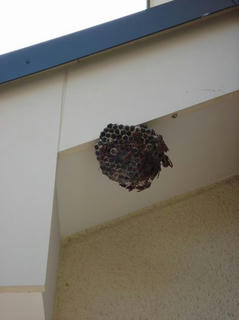 DSC01881.JPG