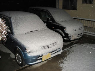 DSC02270_s.jpg