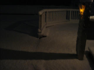 DSC02272_s.jpg