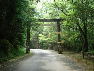 DSC02416_s.jpg