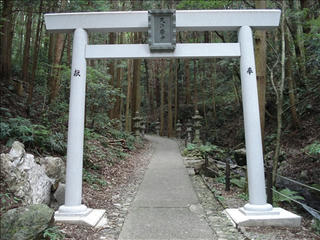 DSC02419_s.jpg