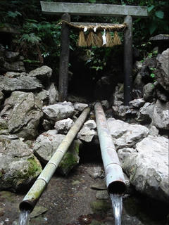DSC02424_s.jpg