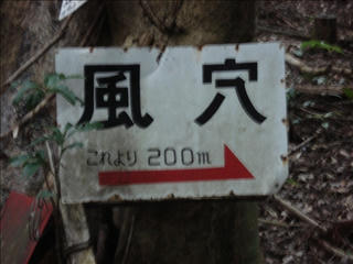 DSC02425_s.jpg