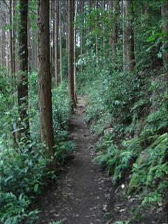 DSC02428_s.jpg