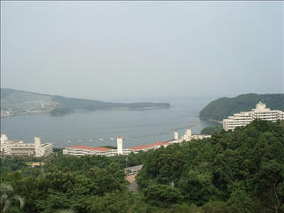 DSC02447_s.jpg