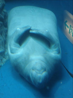 DSC02502_s.jpg
