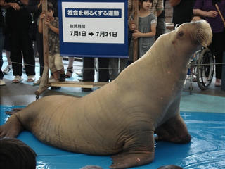 DSC02514_s.jpg