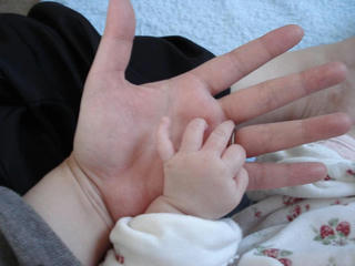 Resized_800_DSC03338.JPG