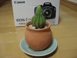 Resized_800_DSC03615.JPG