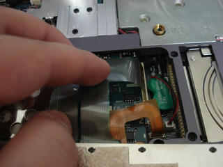 Resized_800_DSC03630.JPG
