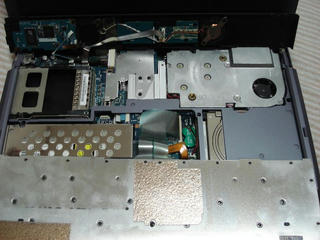 Resized_800_DSC03645.JPG