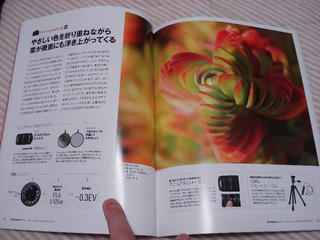 Resized_800_DSC03661.JPG